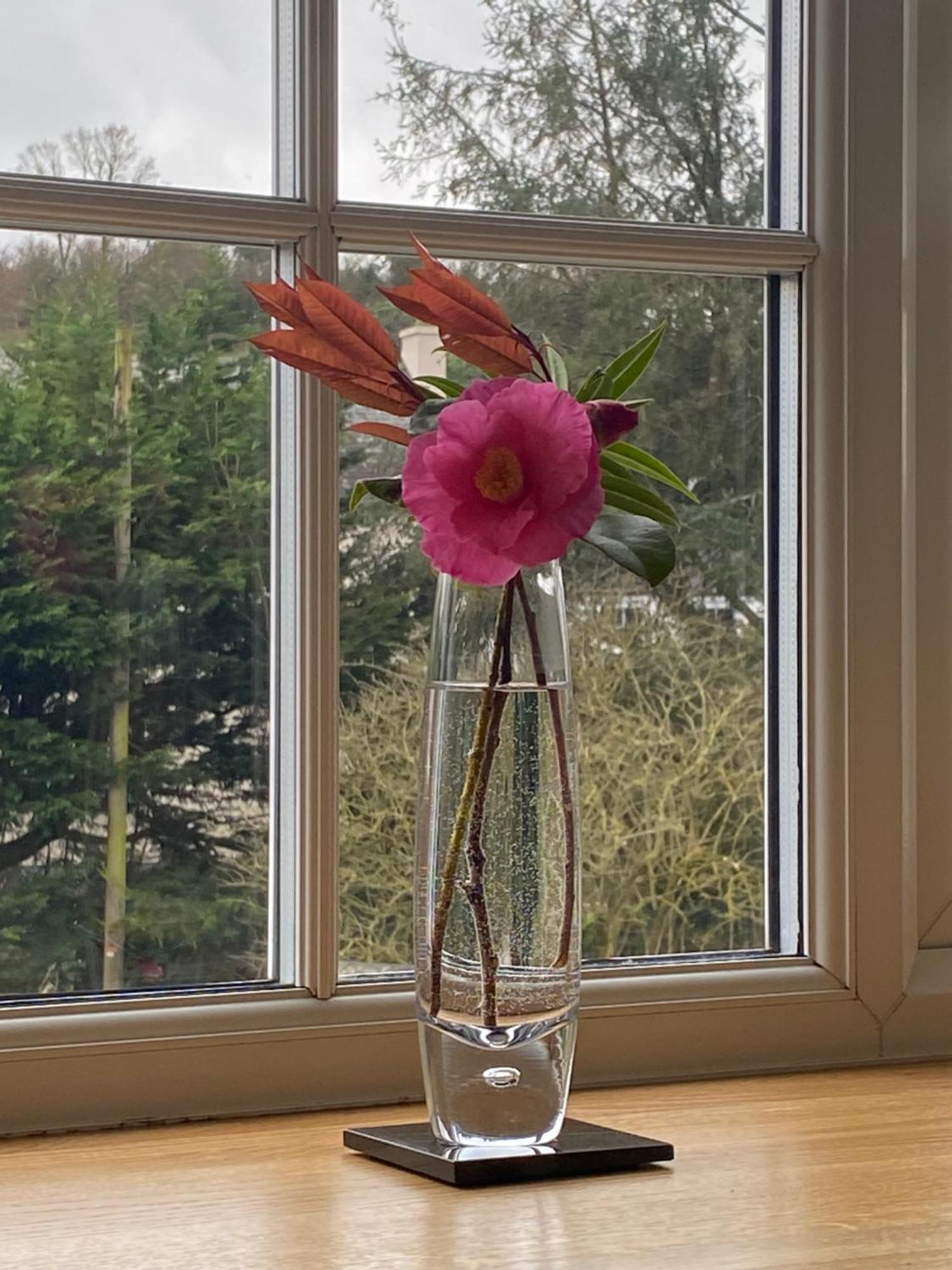Lynwood House Bed And Breakfast Tregoney Luaran gambar